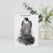 Peregrine Falcon Vintag Bird Illustration Postkarte (Stehend Vorderseite)