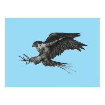 Peregrine Falcon Zeichnend auf Leinwand