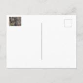 Peregrine Falcons On The Rocks Postkarte (Rückseite)