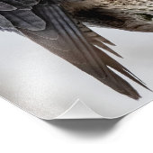 Peregrine Falcons Perched Fotodruck (Ecke)