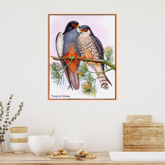 Peregrine Falcons Poster (Küche)