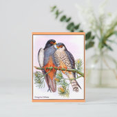 Peregrine Falcons Postkarte (Stehend Vorderseite)