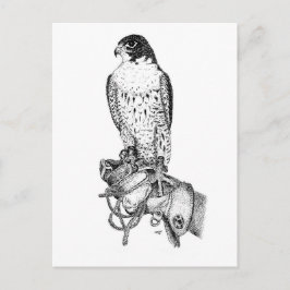 Peregrine Falken auf Blockpostkarte Postkarte