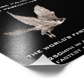 Peregrine Falken: Das schnellste Tier Fotodruck (Ecke)