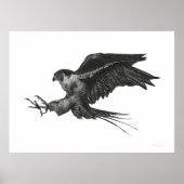 Peregrine Hawk Schwarz-weißer Pen und Tinte Poster (Vorne)