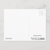 Peregrine Postkarte (Rückseite)