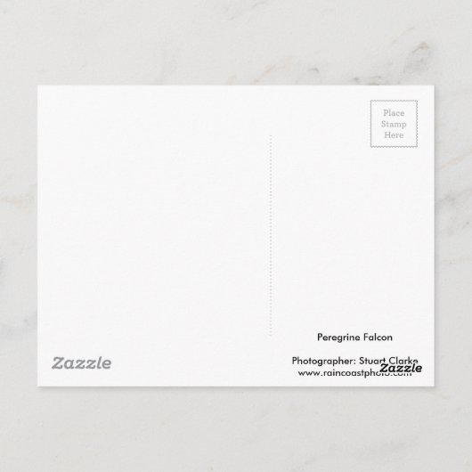 Peregrine Postkarte (Rückseite)