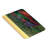 Perelandra Flexible Magnet (Rechte Seite)