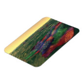 Perelandra Flexible Magnet (Linke Seite)