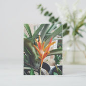 Perennale Kräuterpflanze Postkarte (Stehend Vorderseite)