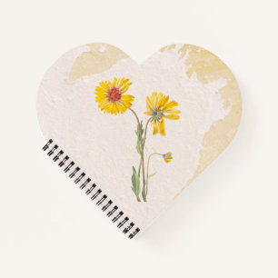 Perennial Gaillardia Blume Notizblock