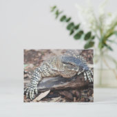 Perenti Postkarte (Stehend Vorderseite)