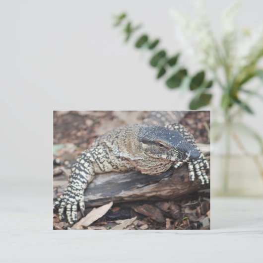 Perenti Postkarte (Stehend Vorderseite)