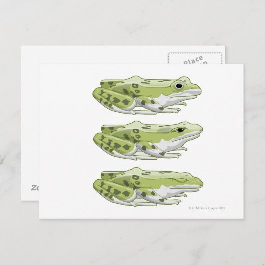 Perez Frog Postkarte (Vorne/Hinten)