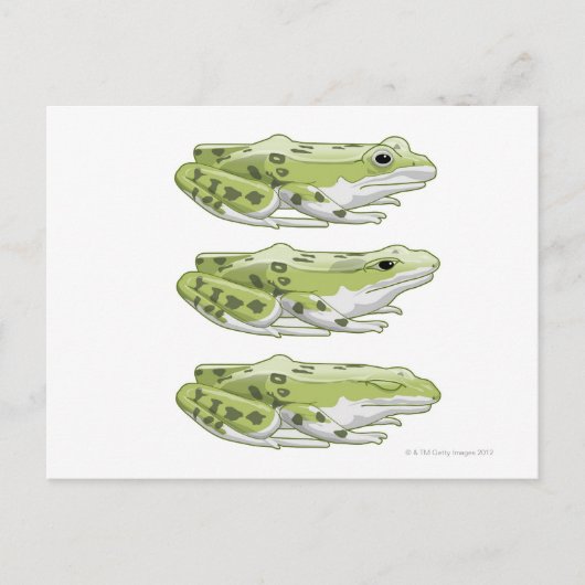 Perez Frog Postkarte (Vorderseite)