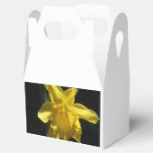 Perfect Daffodil Geschenkschachtel (Geöffnet)