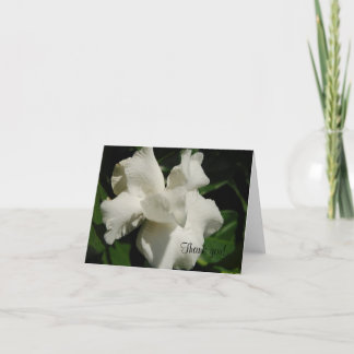Perfect Gardenia Dankeskarte