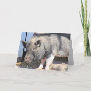 Perfect Little Piggy - Farm Life Series - Gruß Karte