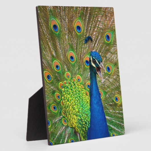 Perfect Peacock Plumage Fotoplatte (Seite)