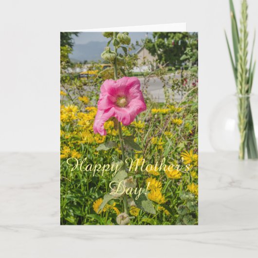 Perfect Pink Hollyhocks (Althaea) Karte (Vorderseite)