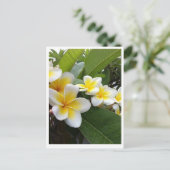 Perfect Plumeria Postkarte (Stehend Vorderseite)