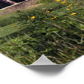 Perfect Red Barn Poster (Ecke)