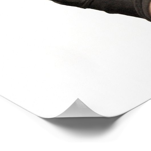 Perfect Salon Poster (Ecke)