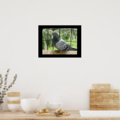 Perfect Taube Poster (Küche)