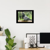 Perfect Taube Poster (Heimbüro)