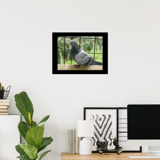 Perfect Taube Poster (Heimbüro)