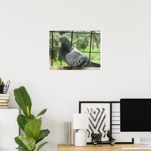 Perfect Taube Poster (Heimbüro)