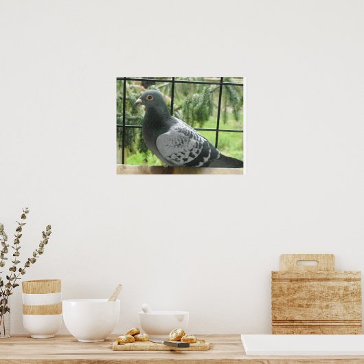 Perfect Taube Poster (Küche)