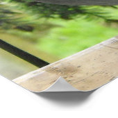 Perfect Taube Poster (Ecke)