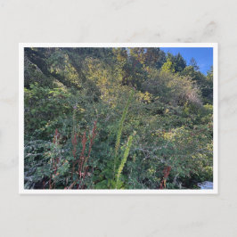 Perfect weather postkarte