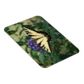 Perfekt abgestimmt Butterfly Magnet (Rechte Seite)
