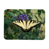 Perfekt abgestimmt Butterfly Magnet (Horizontal)