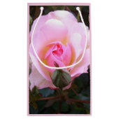 Perfekt Englisch Rosa Rose Kleine Geschenktüte (Rückseite)