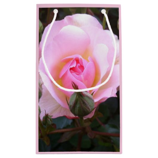 Perfekt Englisch Rosa Rose Kleine Geschenktüte (Rückseite)