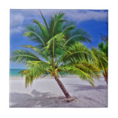 Perfekt Palm Tree Tropical Island Beach Fliese (Vorderseite)