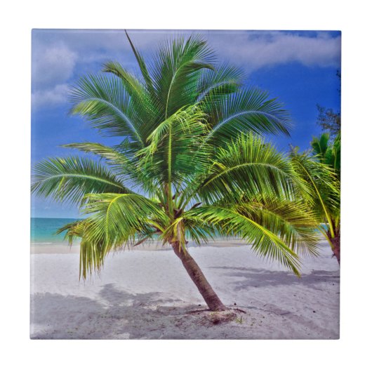 Perfekt Palm Tree Tropical Island Beach Fliese (Vorderseite)