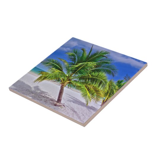 Perfekt Palm Tree Tropical Island Beach Fliese (Seite)