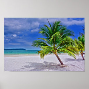 Perfekt Palm Tree Tropical Island Beach Poster