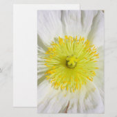 Perfekt Poppy Briefpapier (Vorne/Hinten)