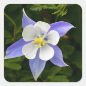 perfekt quadratischer aufkleber (Vorderseite)