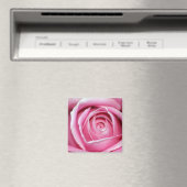 Perfekt Rosa Rose Magnet (In Situ (Geschirrspüler))