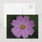 perfekte Blume Postkarte (Vorne/Hinten)