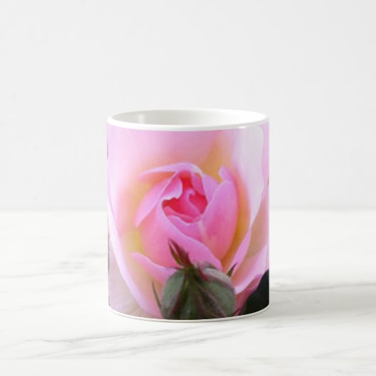 Perfekte englische Rosa-Kaffee-Tasse Kaffeetasse (Mittel)