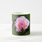 Perfekte englische Rose Kaffeetasse (Mittel)