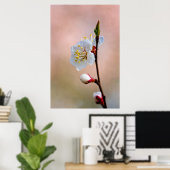 Perfekte japanische Apricot-Blume Poster (Heimbüro)