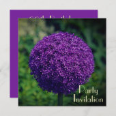 Perfekte Lila Allium Blume 60. Geburtstagsparty (Vorne/Hinten)